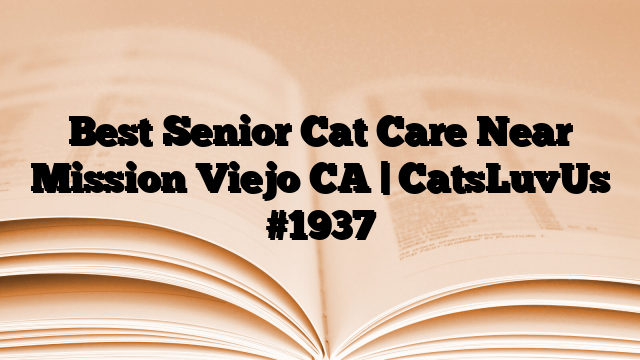 Best Senior Cat Care Near Mission Viejo CA | CatsLuvUs