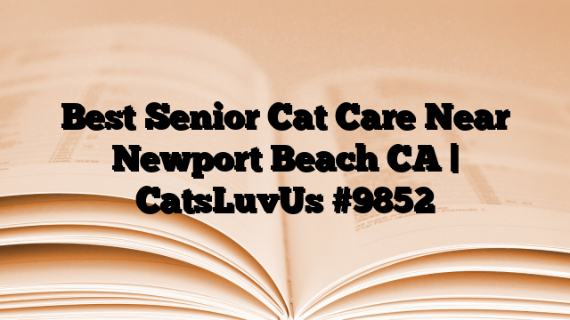 Best Senior Cat Care Near Newport Beach CA | CatsLuvUs