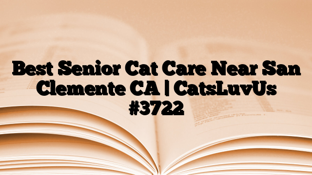 Best Senior Cat Care Near San Clemente CA | CatsLuvUs