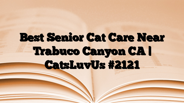Best Senior Cat Care Near Trabuco Canyon CA | CatsLuvUs
