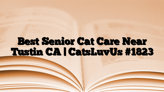 Best Senior Cat Care Near Tustin CA | CatsLuvUs