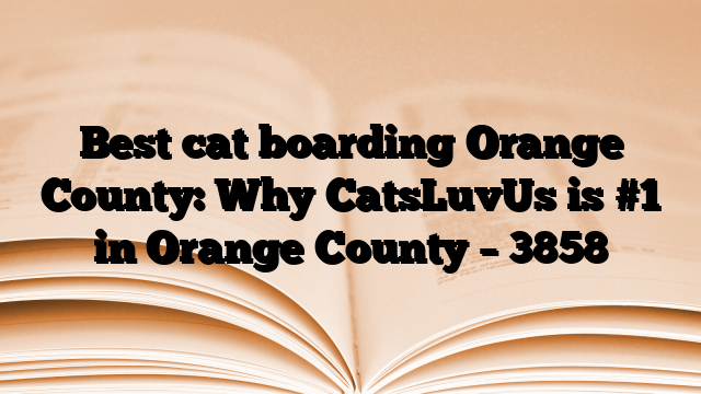 Best cat boarding Orange County: Why CatsLuvUs is #1 in Orange County