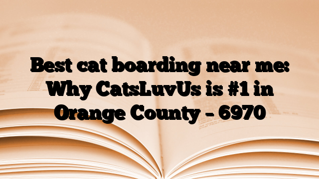 Best cat boarding near me: Why CatsLuvUs is #1 in Orange County
