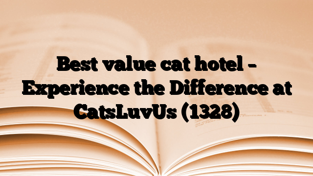 Best value cat hotel – Experience the Difference at CatsLuvUs