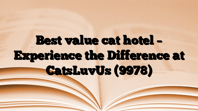 Best value cat hotel – Experience the Difference at CatsLuvUs