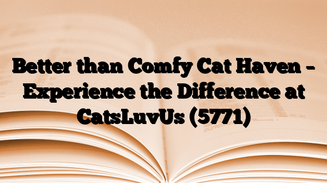 Better than Comfy Cat Haven – Experience the Difference at CatsLuvUs