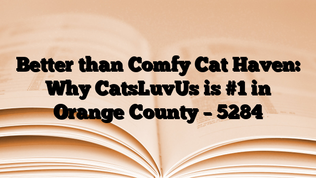 Better than Comfy Cat Haven: Why CatsLuvUs is #1 in Orange County