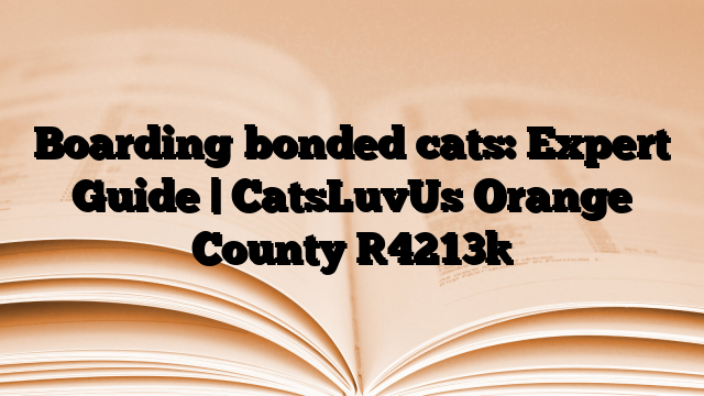 Boarding bonded cats: Expert Guide | CatsLuvUs Orange County