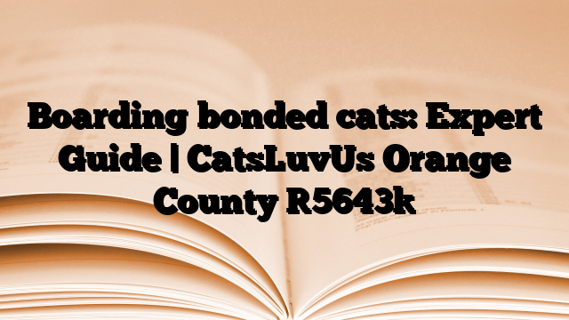 Boarding bonded cats: Expert Guide | CatsLuvUs Orange County