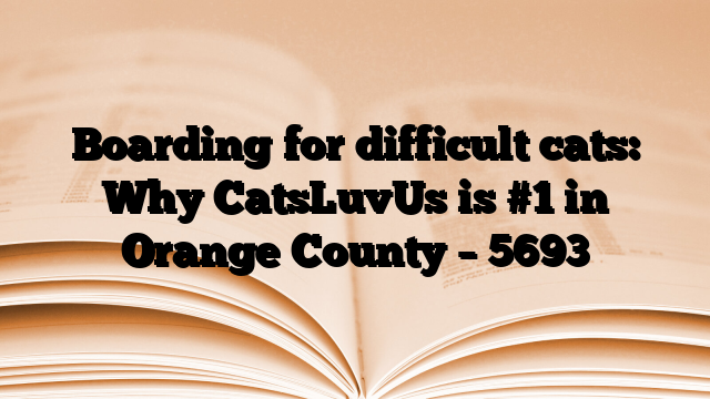 Boarding for difficult cats: Why CatsLuvUs is #1 in Orange County