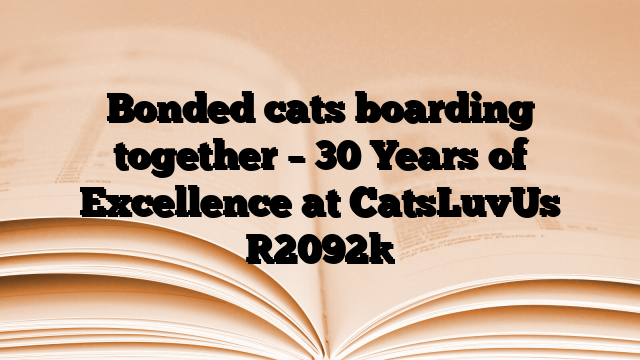 Bonded cats boarding together – 30 Years of Excellence at CatsLuvUs