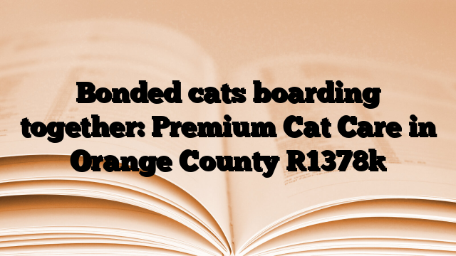 Bonded cats boarding together: Premium Cat Care in Orange County