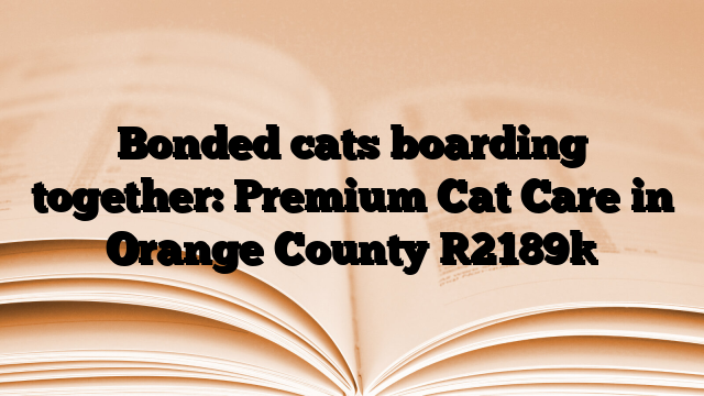 Bonded cats boarding together: Premium Cat Care in Orange County