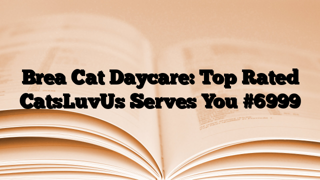 Brea Cat Daycare: Top Rated CatsLuvUs Serves You
