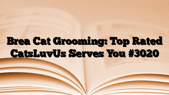 Brea Cat Grooming: Top Rated CatsLuvUs Serves You