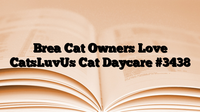 Brea Cat Owners Love CatsLuvUs Cat Daycare