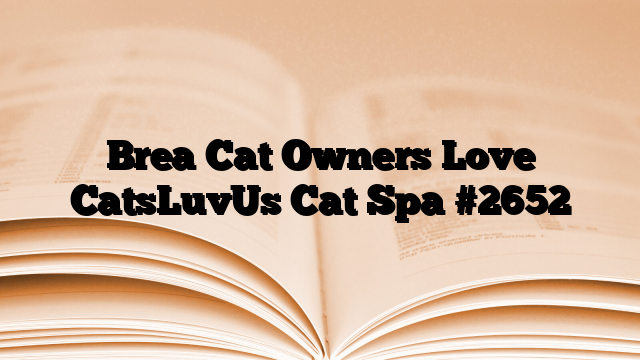 Brea Cat Owners Love CatsLuvUs Cat Spa