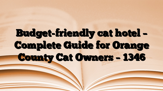 Budget-friendly cat hotel – Complete Guide for Orange County Cat Owners