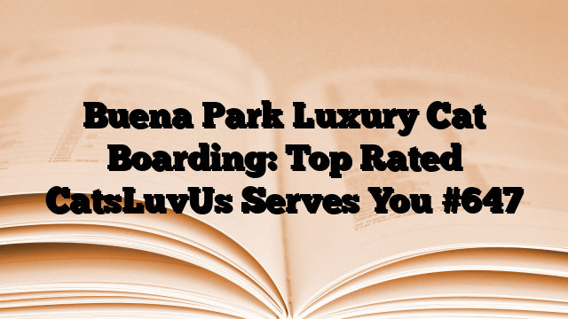 Buena Park Luxury Cat Boarding: Top Rated CatsLuvUs Serves You