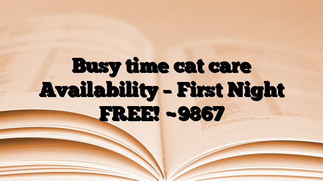 Busy time cat care Availability – First Night FREE!