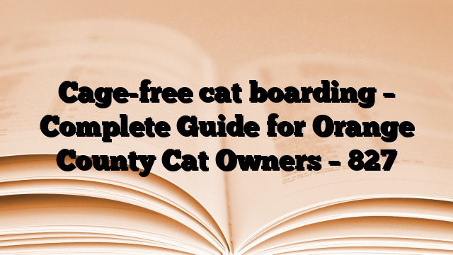 Cage-free cat boarding – Complete Guide for Orange County Cat Owners