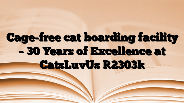 Cage-free cat boarding facility – 30 Years of Excellence at CatsLuvUs
