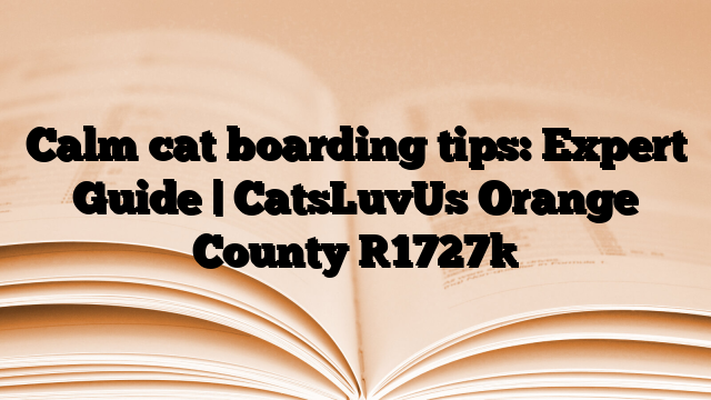 Calm cat boarding tips: Expert Guide | CatsLuvUs Orange County