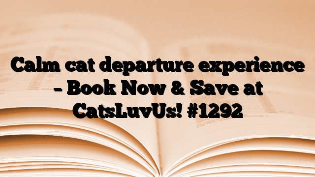 Calm cat departure experience – Book Now & Save at CatsLuvUs!