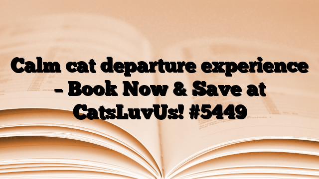 Calm cat departure experience – Book Now & Save at CatsLuvUs!