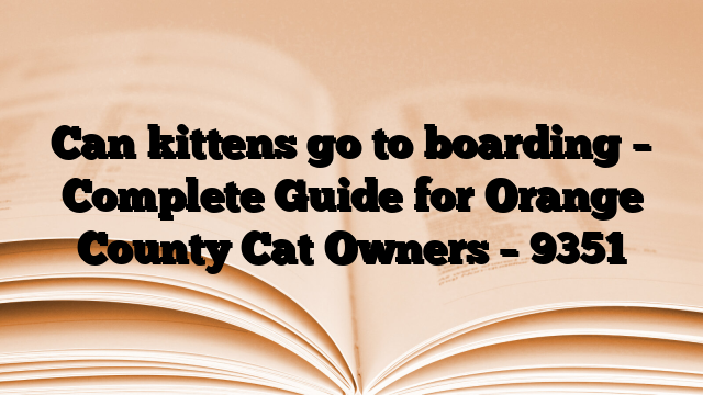 Can kittens go to boarding – Complete Guide for Orange County Cat Owners