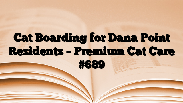 Cat Boarding for Dana Point Residents – Premium Cat Care