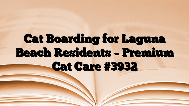 Cat Boarding for Laguna Beach Residents – Premium Cat Care