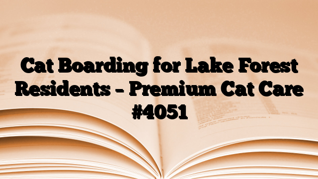 Cat Boarding for Lake Forest Residents – Premium Cat Care