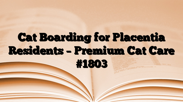 Cat Boarding for Placentia Residents – Premium Cat Care
