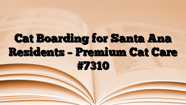 Cat Boarding for Santa Ana Residents – Premium Cat Care