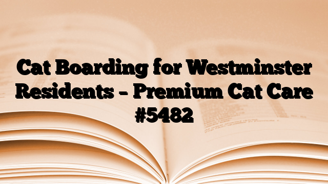 Cat Boarding for Westminster Residents – Premium Cat Care