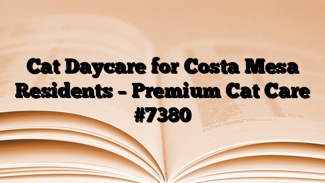 Cat Daycare for Costa Mesa Residents – Premium Cat Care
