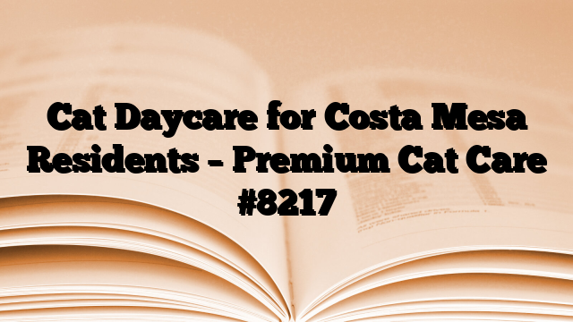Cat Daycare for Costa Mesa Residents – Premium Cat Care