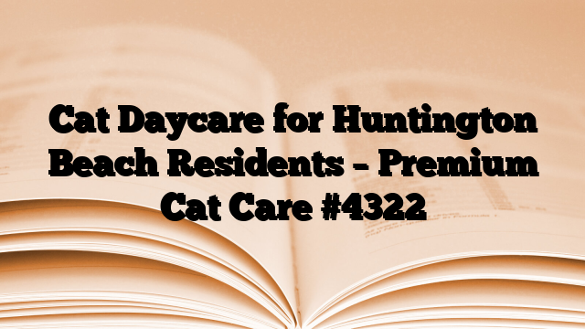Cat Daycare for Huntington Beach Residents – Premium Cat Care