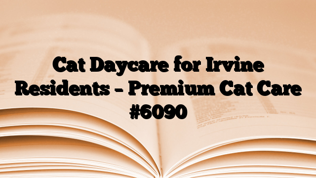 Cat Daycare for Irvine Residents – Premium Cat Care