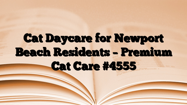Cat Daycare for Newport Beach Residents – Premium Cat Care