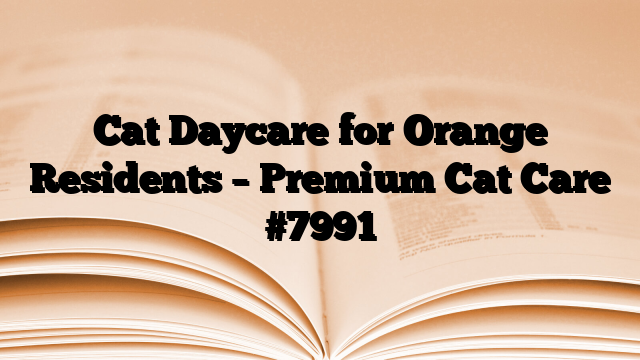 Cat Daycare for Orange Residents – Premium Cat Care