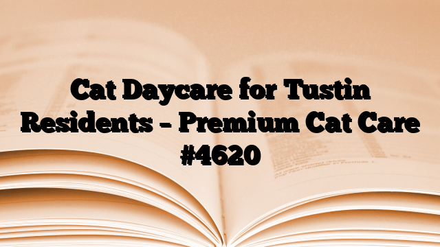 Cat Daycare for Tustin Residents – Premium Cat Care