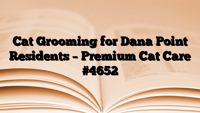 Cat Grooming for Dana Point Residents – Premium Cat Care