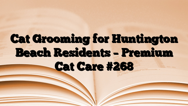 Cat Grooming for Huntington Beach Residents – Premium Cat Care
