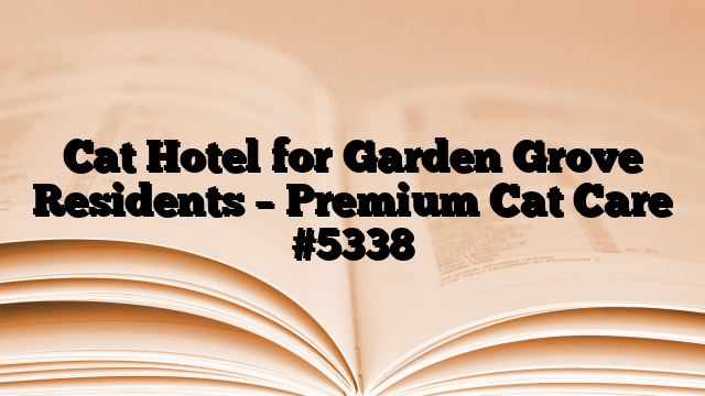 Cat Hotel for Garden Grove Residents – Premium Cat Care