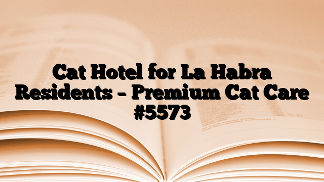 Cat Hotel for La Habra Residents – Premium Cat Care