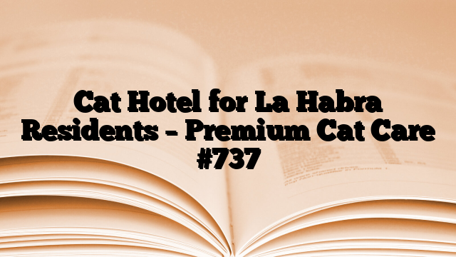 Cat Hotel for La Habra Residents – Premium Cat Care