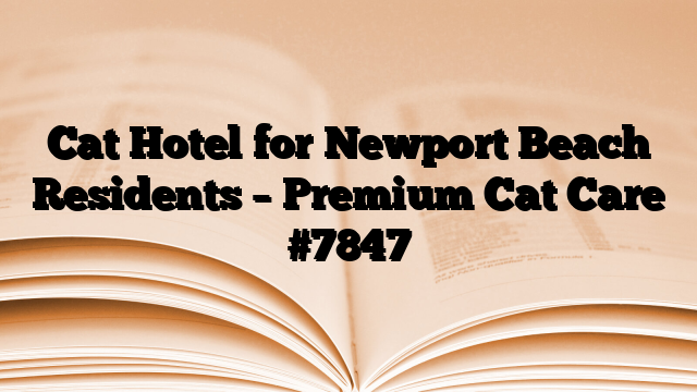 Cat Hotel for Newport Beach Residents – Premium Cat Care