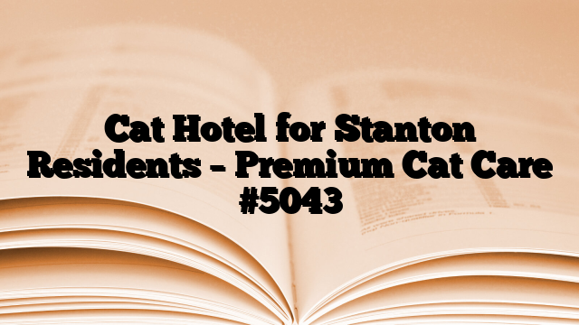 Cat Hotel for Stanton Residents – Premium Cat Care